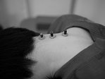 _1000426.JPG